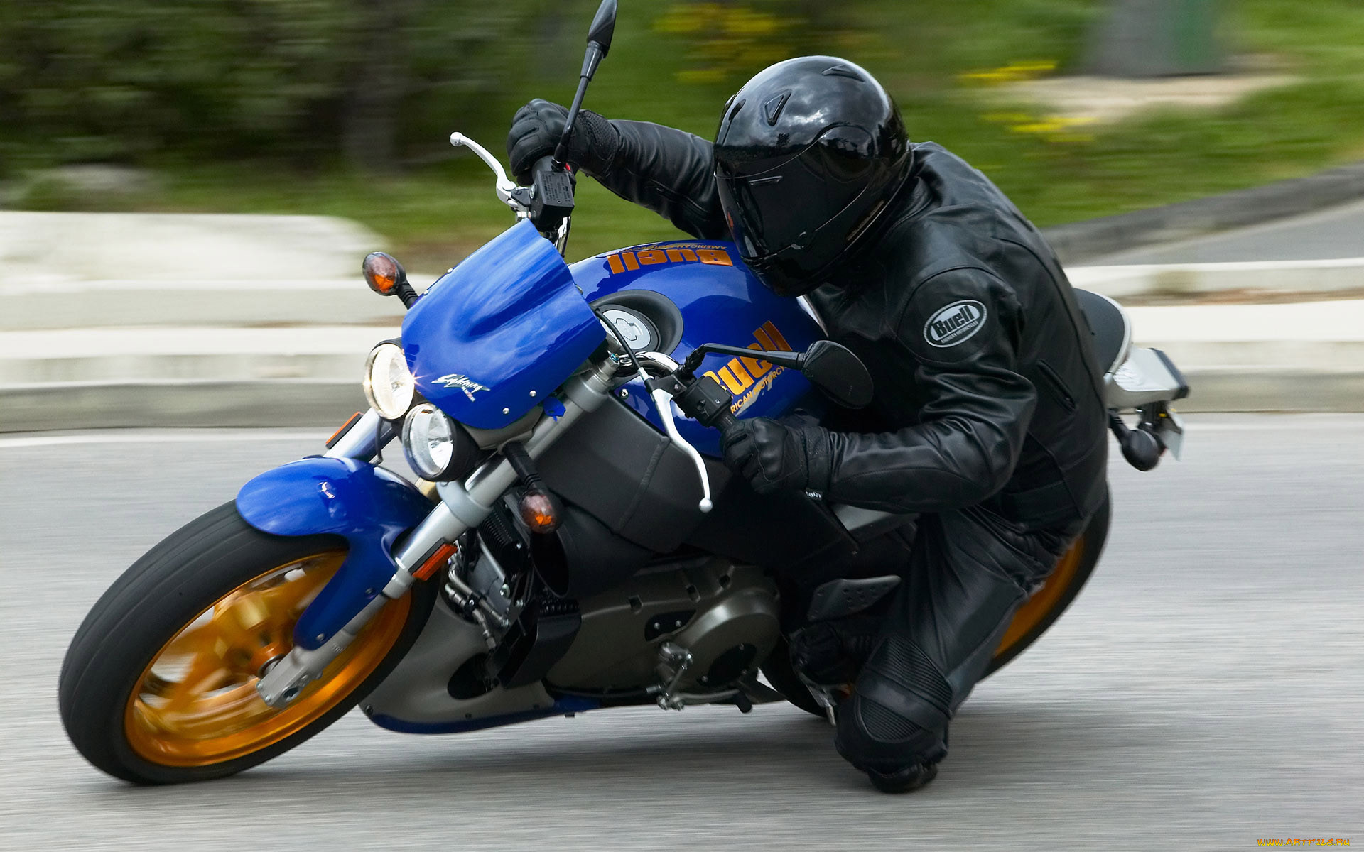 , buell